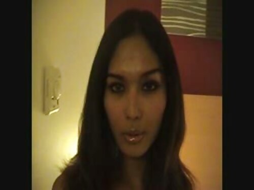 Estricta belleza exp ...