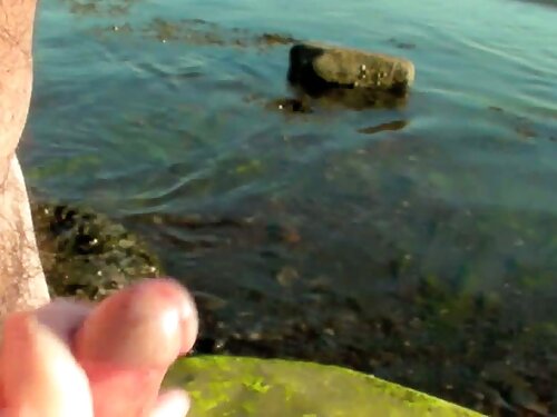 Chicas elegantes fol ...