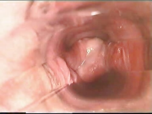 La rubia se quitó la ...