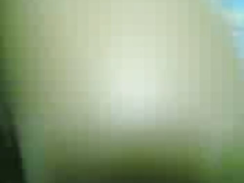 Las zorras se comen  ...