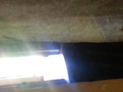 El sexo rubio ocurri ...