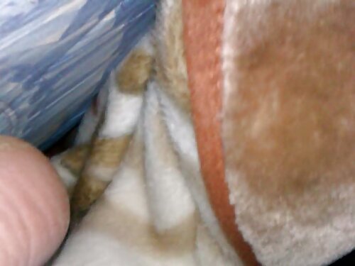 Mujer negra rizada l ...